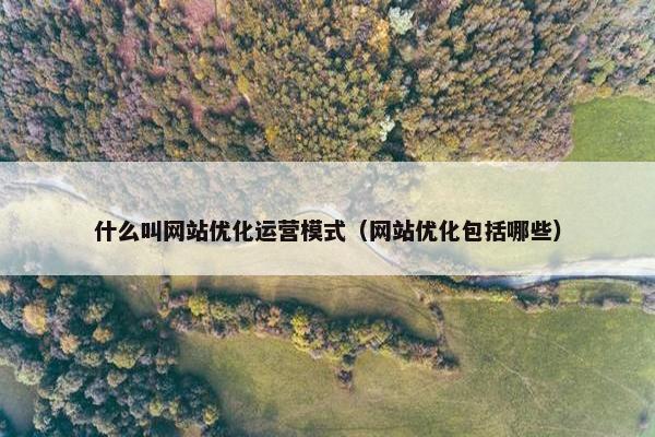 什么叫网站优化运营模式（网站优化包括哪些）