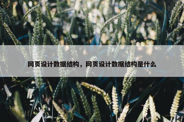 网页设计数据结构，网页设计数据结构是什么