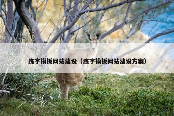 练字模板网站建设（练字模板网站建设方案）