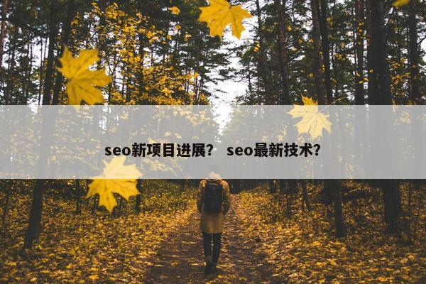seo新项目进展？ seo最新技术？