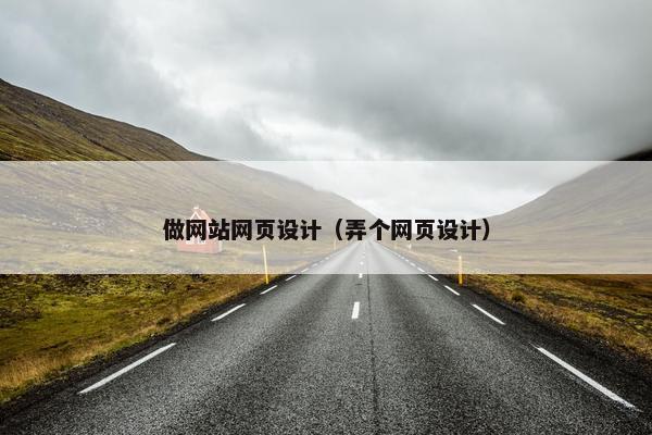 做网站网页设计（弄个网页设计）