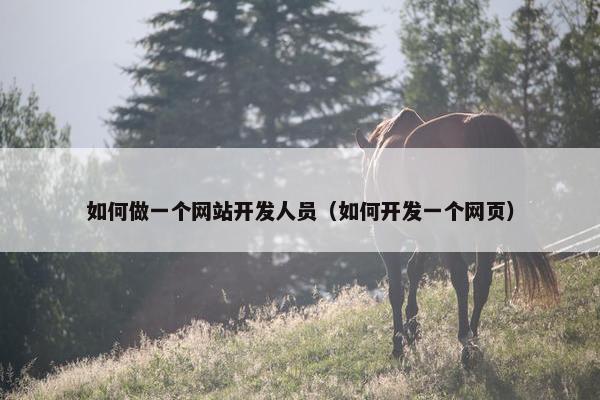 如何做一个网站开发人员（如何开发一个网页）
