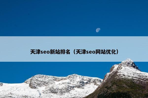天津seo新站排名（天津seo网站优化）