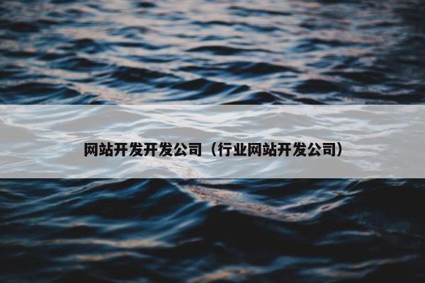 网站开发开发公司（行业网站开发公司）