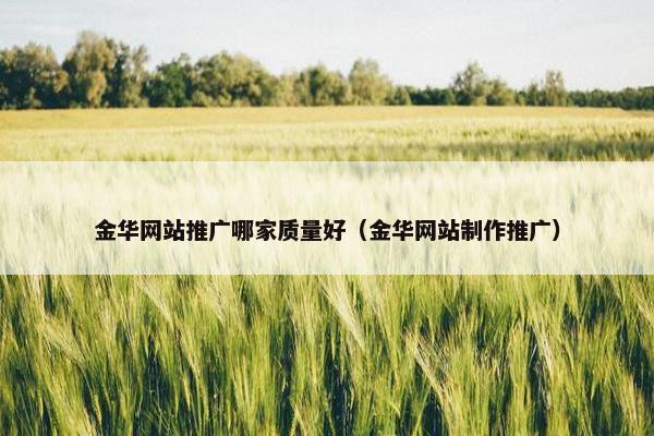 金华网站推广哪家质量好（金华网站制作推广）