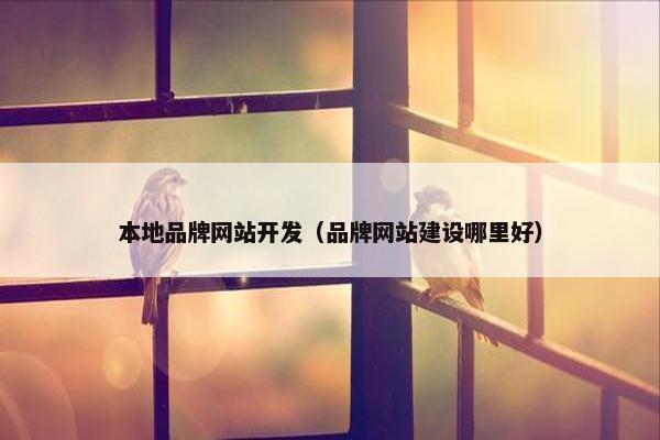 本地品牌网站开发（品牌网站建设哪里好）