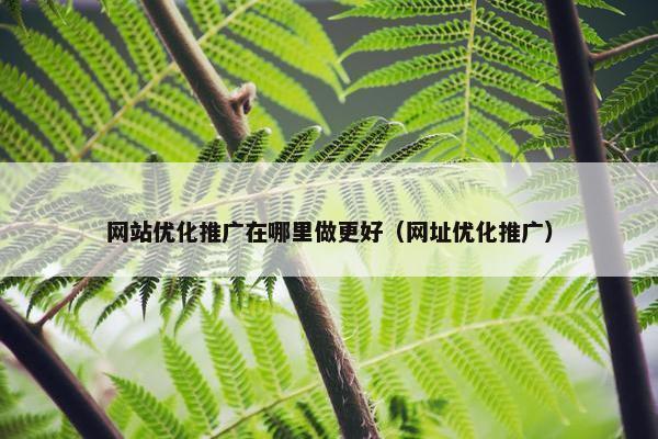 网站优化推广在哪里做更好（网址优化推广）