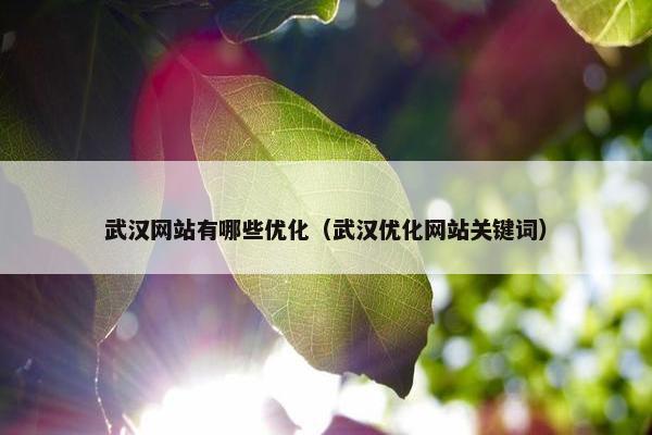 武汉网站有哪些优化（武汉优化网站关键词）