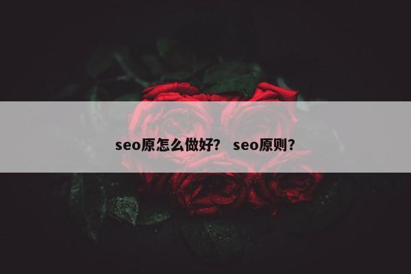 seo原怎么做好？ seo原则？