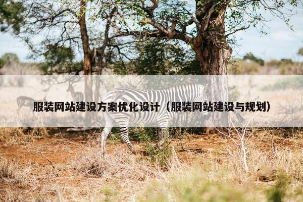 服装网站建设方案优化设计（服装网站建设与规划）