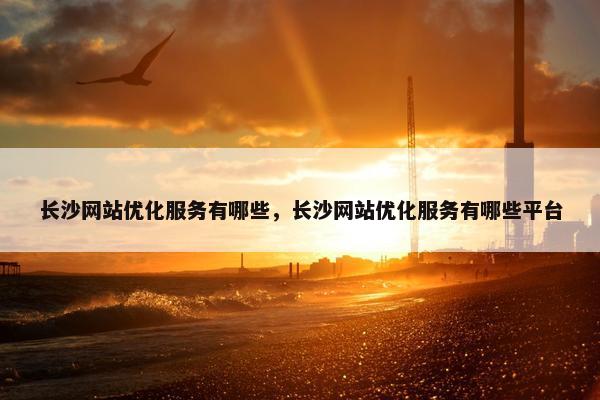 长沙网站优化服务有哪些，长沙网站优化服务有哪些平台