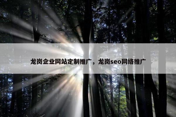 龙岗企业网站定制推广，龙岗seo网络推广