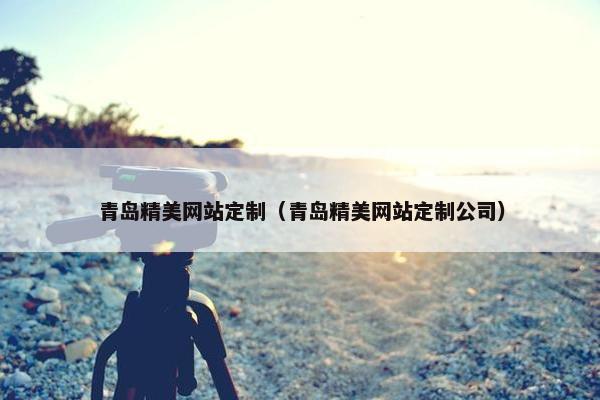 青岛精美网站定制（青岛精美网站定制公司）