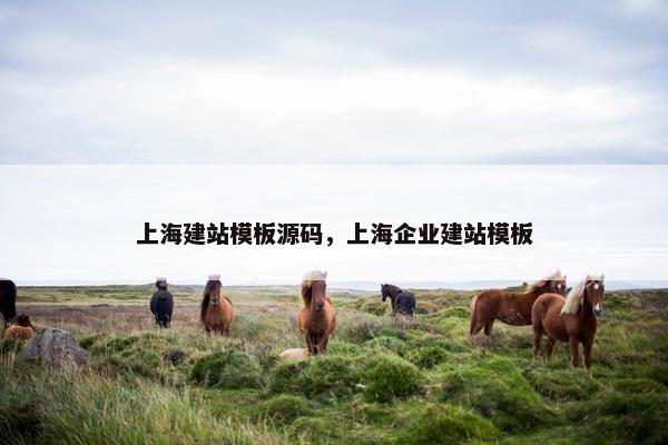 上海建站模板源码，上海企业建站模板