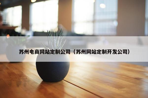 苏州电商网站定制公司（苏州网站定制开发公司）