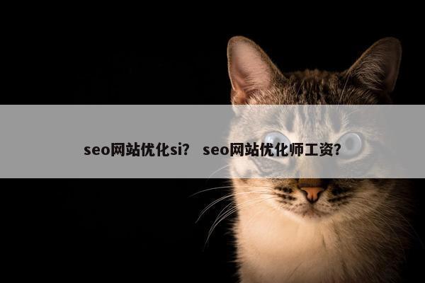 seo网站优化si？ seo网站优化师工资？