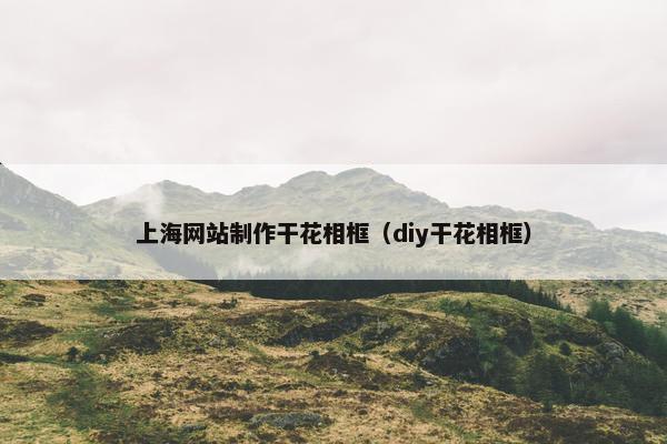 上海网站制作干花相框（diy干花相框）