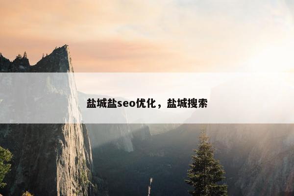 盐城盐seo优化，盐城搜索
