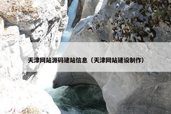 天津网站源码建站信息（天津网站建设制作）