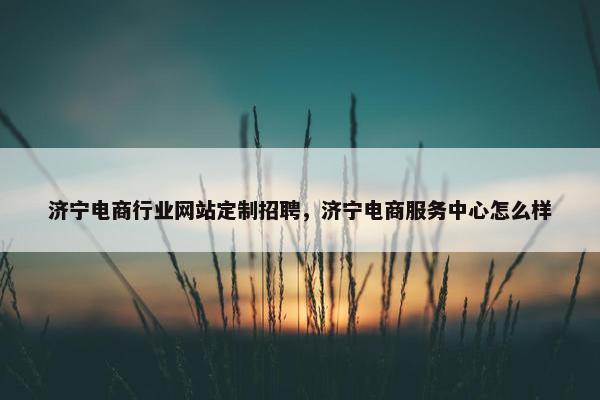 济宁电商行业网站定制招聘，济宁电商服务中心怎么样