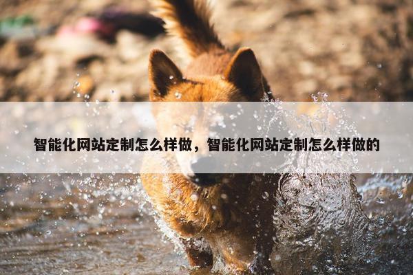 智能化网站定制怎么样做，智能化网站定制怎么样做的
