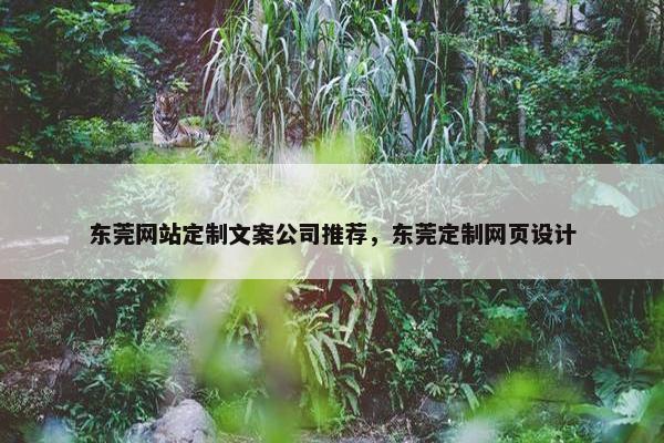 东莞网站定制文案公司推荐，东莞定制网页设计