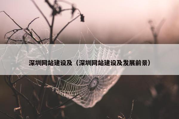 深圳网站建设及（深圳网站建设及发展前景）