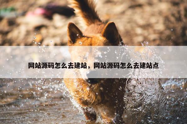 网站源码怎么去建站，网站源码怎么去建站点