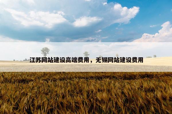 江苏网站建设高端费用，无锡网站建设费用