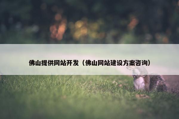 佛山提供网站开发（佛山网站建设方案咨询）