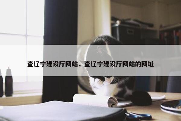查辽宁建设厅网站，查辽宁建设厅网站的网址