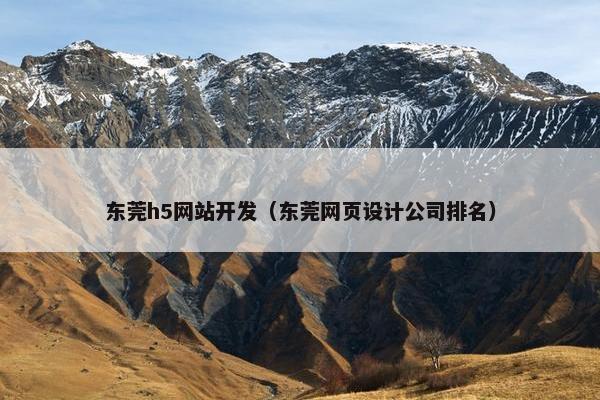 东莞h5网站开发（东莞网页设计公司排名）