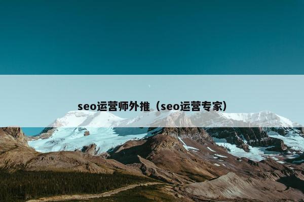seo运营师外推（seo运营专家）