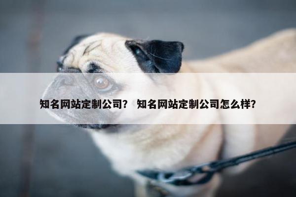 知名网站定制公司？ 知名网站定制公司怎么样？