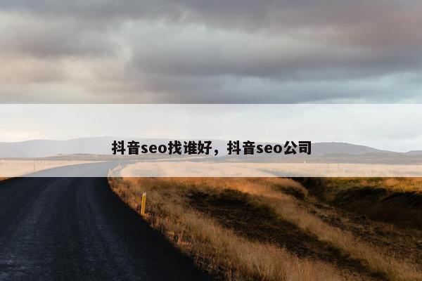 抖音seo找谁好，抖音seo公司