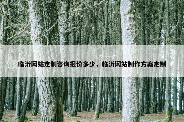 临沂网站定制咨询报价多少，临沂网站制作方案定制