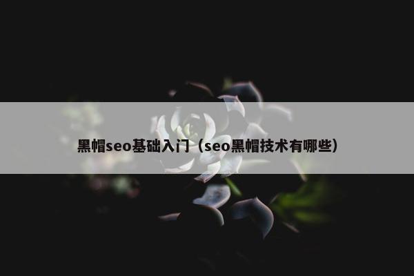 黑帽seo基础入门（seo黑帽技术有哪些）