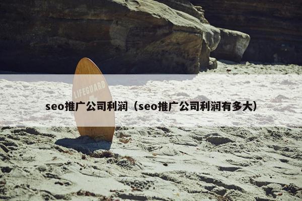 seo推广公司利润（seo推广公司利润有多大）