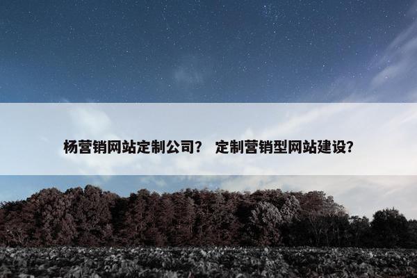 杨营销网站定制公司？ 定制营销型网站建设？