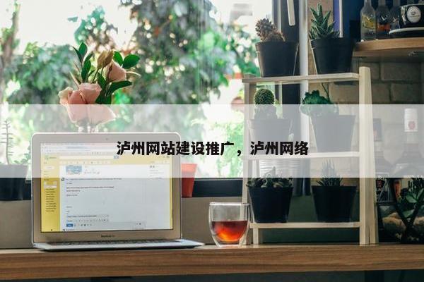 泸州网站建设推广，泸州网络