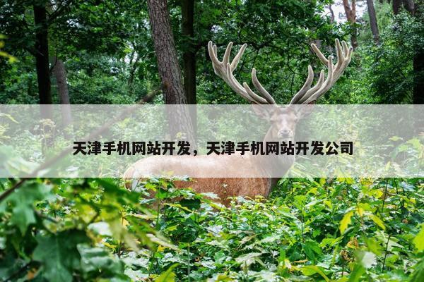 天津手机网站开发，天津手机网站开发公司