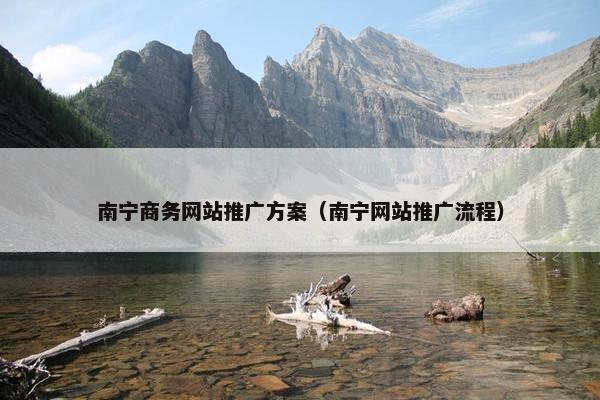 南宁商务网站推广方案（南宁网站推广流程）