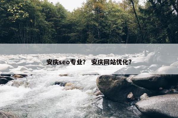 安庆seo专业？ 安庆网站优化？