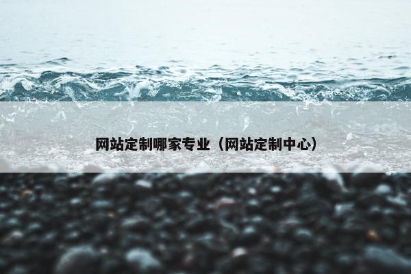 网站定制哪家专业（网站定制中心）