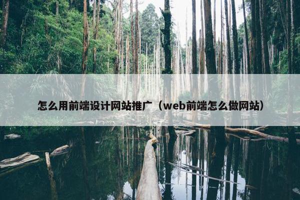 怎么用前端设计网站推广（web前端怎么做网站）