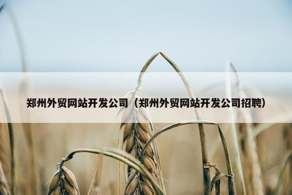 郑州外贸网站开发公司（郑州外贸网站开发公司招聘）