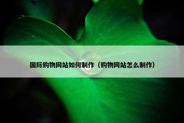 国际购物网站如何制作（购物网站怎么制作）
