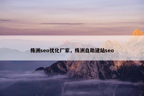 株洲seo优化厂家，株洲自助建站seo