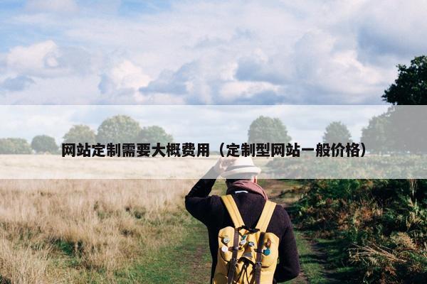 网站定制需要大概费用（定制型网站一般价格）