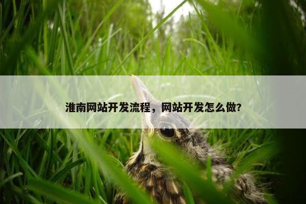 淮南网站开发流程，网站开发怎么做?